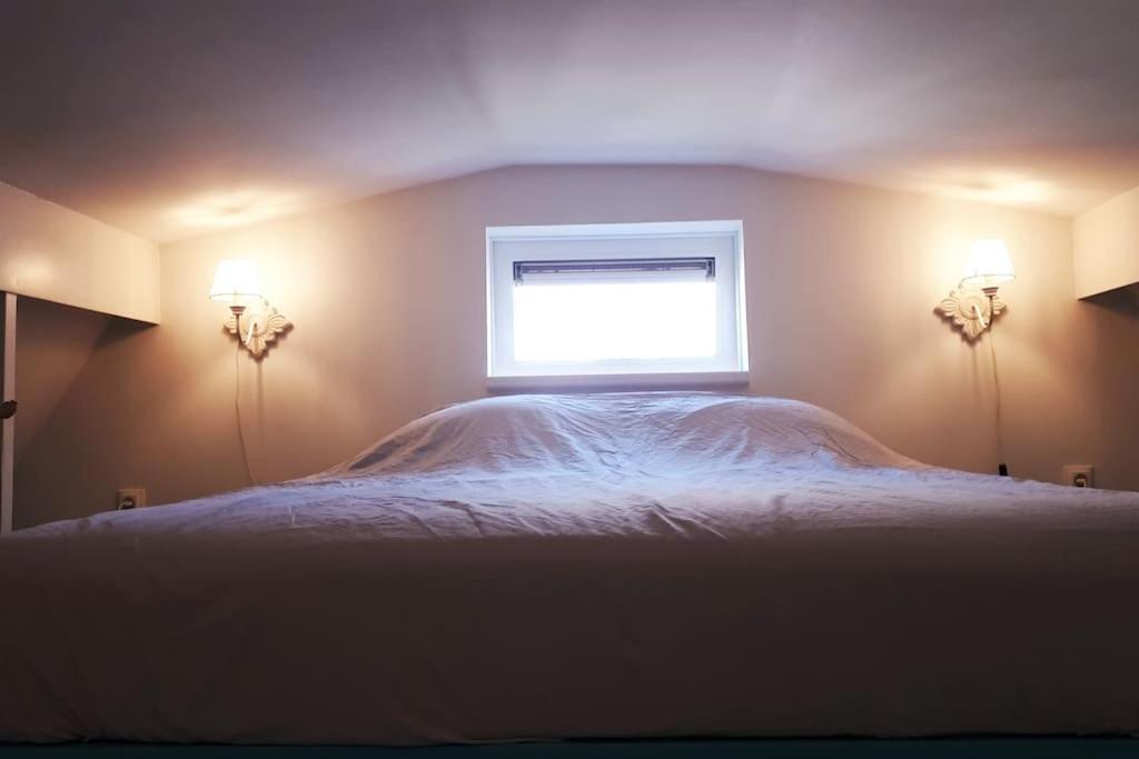 Olga'S Cottage Den Helder Zewnętrze zdjęcie