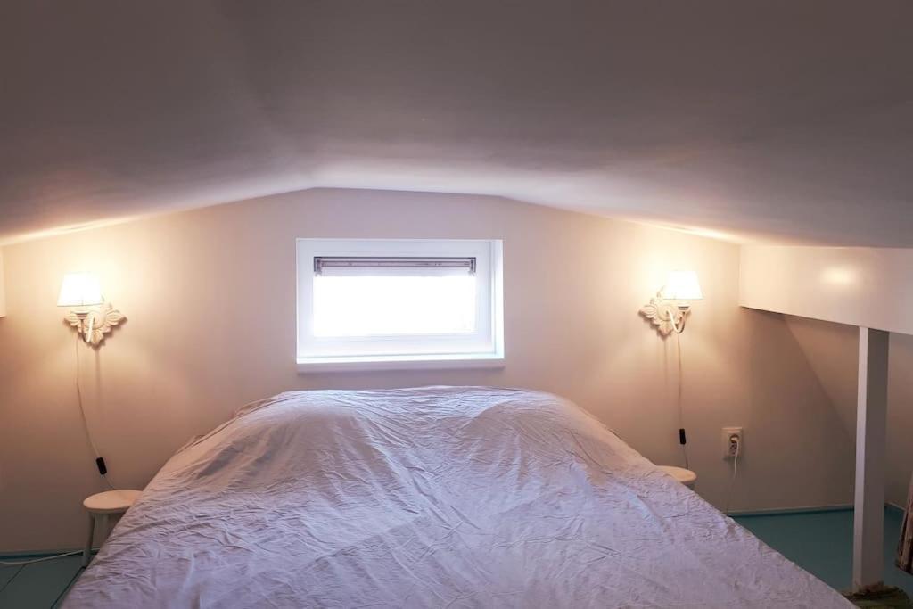 Olga'S Cottage Den Helder Zewnętrze zdjęcie
