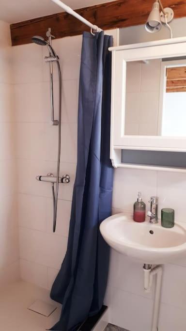 Olga'S Cottage Den Helder Zewnętrze zdjęcie