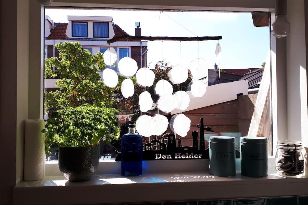 Olga'S Cottage Den Helder Zewnętrze zdjęcie
