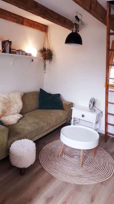 Olga'S Cottage Den Helder Zewnętrze zdjęcie