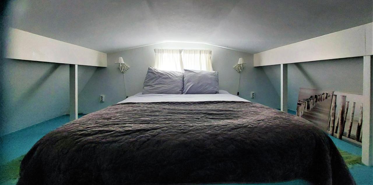 Olga'S Cottage Den Helder Zewnętrze zdjęcie